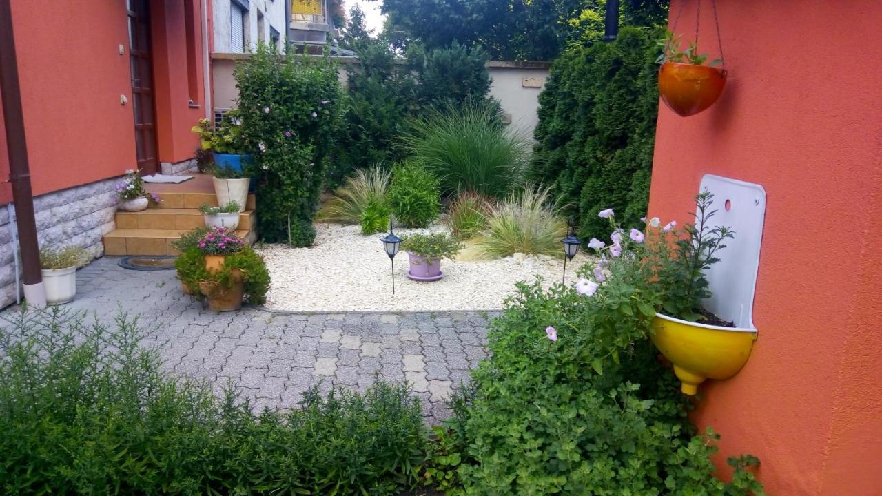 Aranyeso Vendeghaz Csorbai — Photos 1
